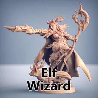 Artisan Guild Female Elf Wizard AG2