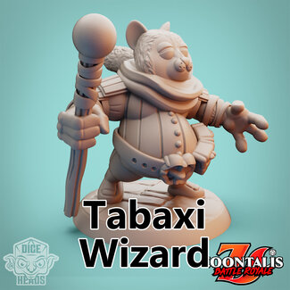 Dice Heads Male Tabaxi Wizard DH1