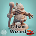 Dice Heads Male Tabaxi Wizard DH1