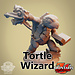 Dice Heads Male Tortle Wizard DH1