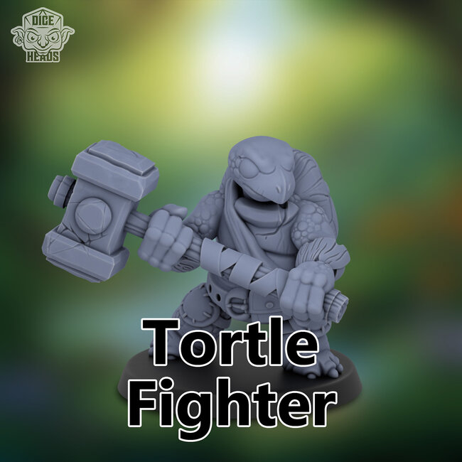 Male Tortle Fighter DH1