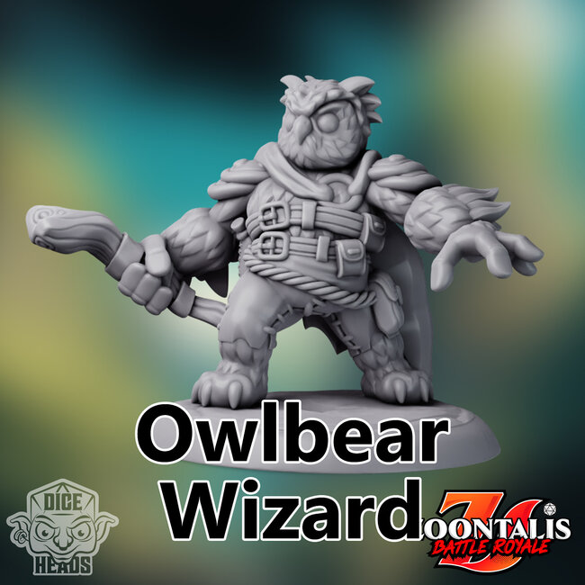 Male Owlbear Wizard DH1