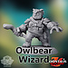 Dice Heads Male Owlbear Wizard DH1