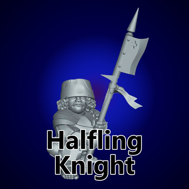 Male Halfling Knight TF9