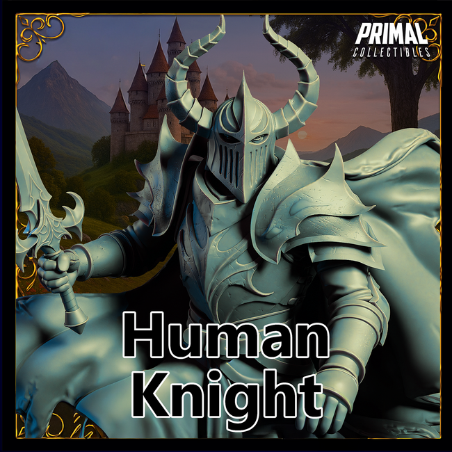 Male Human Knight PC5