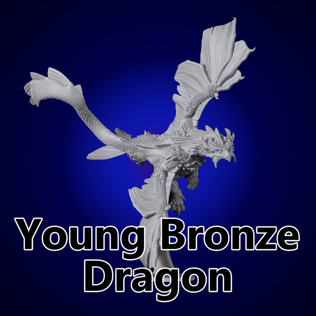 Young Bronze Dragon TF1