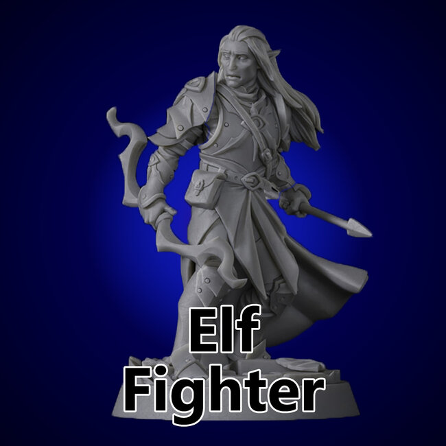 Male Elf Fighter TF1