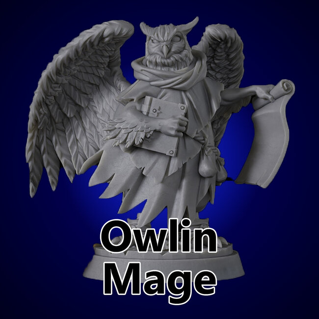 Male Owlin Mage TF1