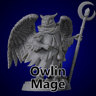 Titan Forge Male Owlin Mage TF2