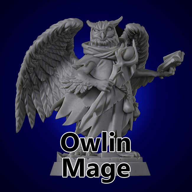 Male Owlin Mage TF3