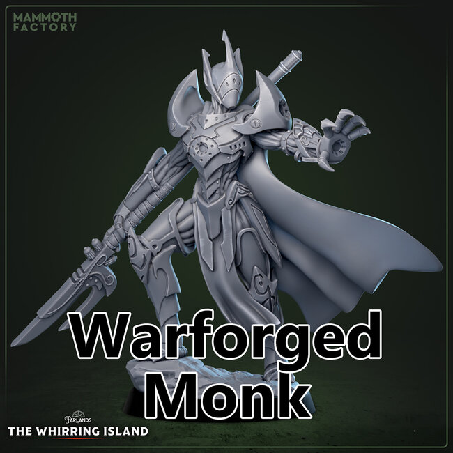 Male Warforged Monk MF1