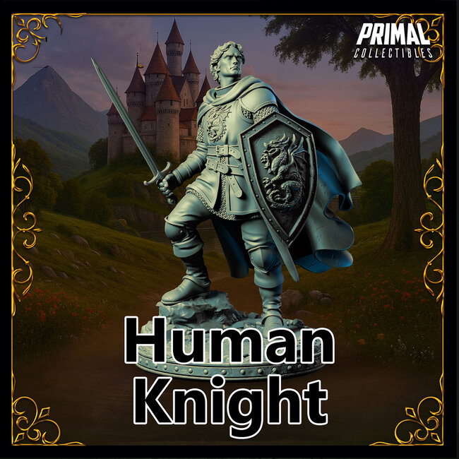Male Human Knight PC6