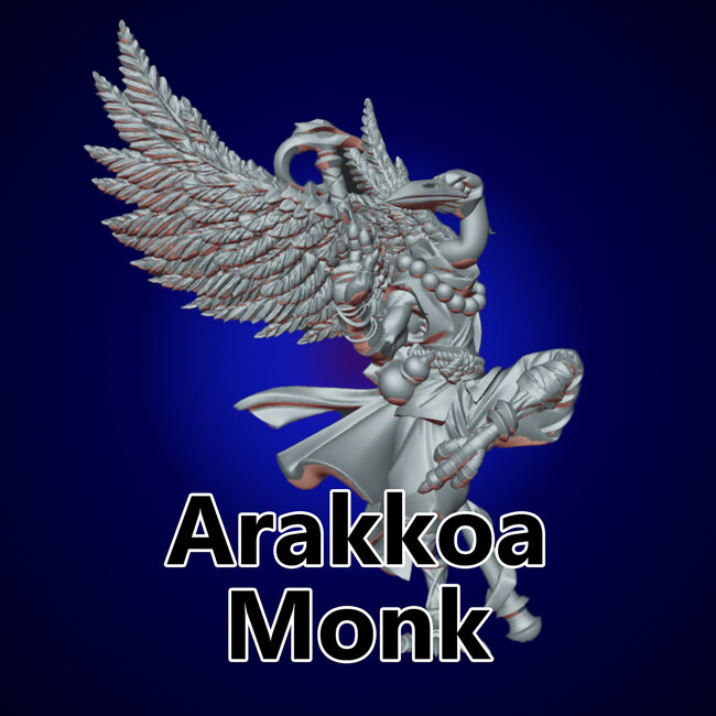 Male Arakkoa Monk TF1