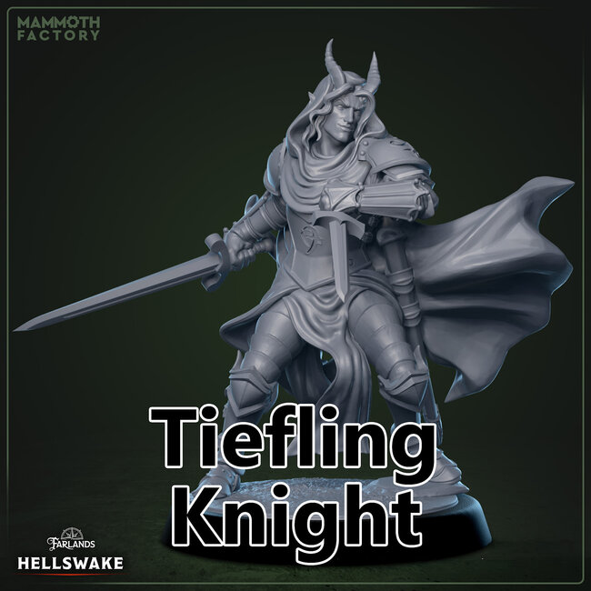 Male Tiefling Knight MF2