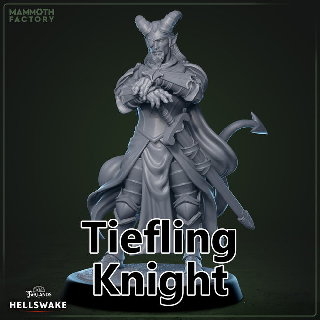 Male Tiefling Knight MF3