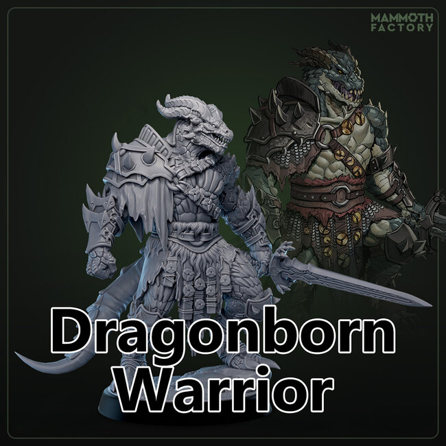 Male Dragonborn Warrior MF1