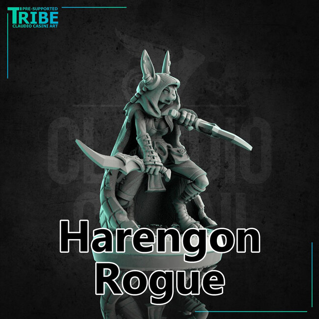 Female Harengon Rogue CC1