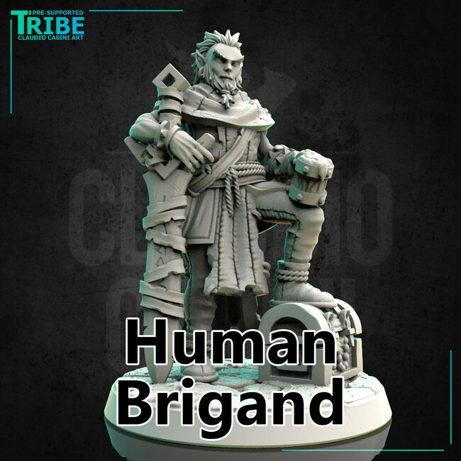 Male Elf Brigand CC1