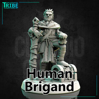 Claudio Casini Art Male Human Brigand CC1