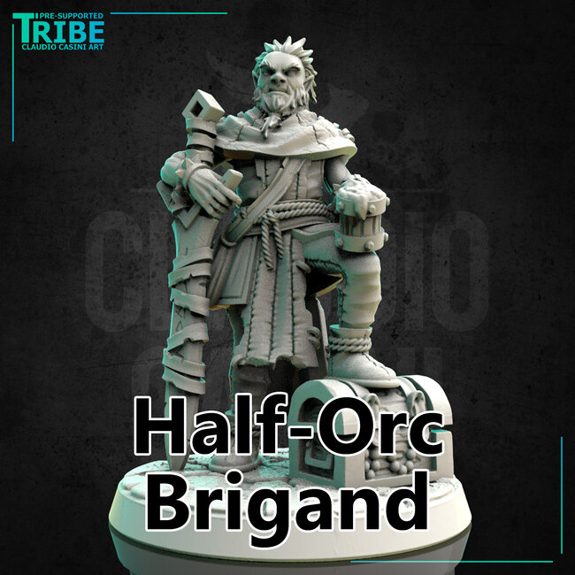 Male Half-Orc Brigand CC1