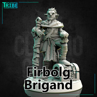 Claudio Casini Art Male Firbolg Brigand CC1