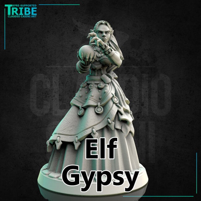Female Elf Gypsy CC1
