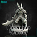 Claudio Casini Art Male Harengon Warrior CC1