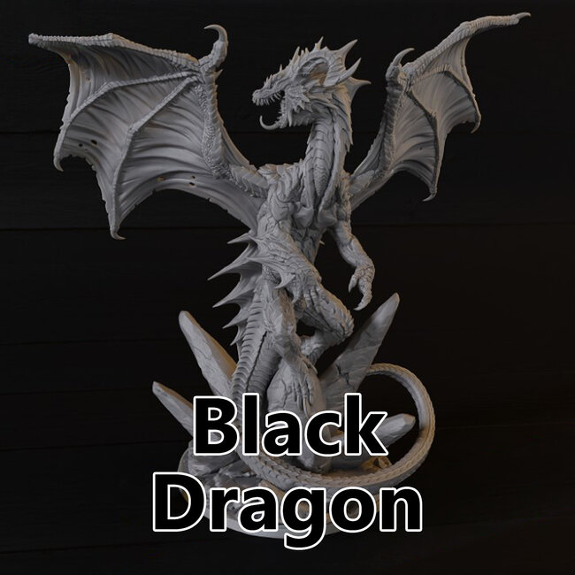 Black Dragon TF1
