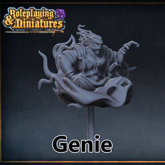 Roleplaying Miniatures Genie RM1