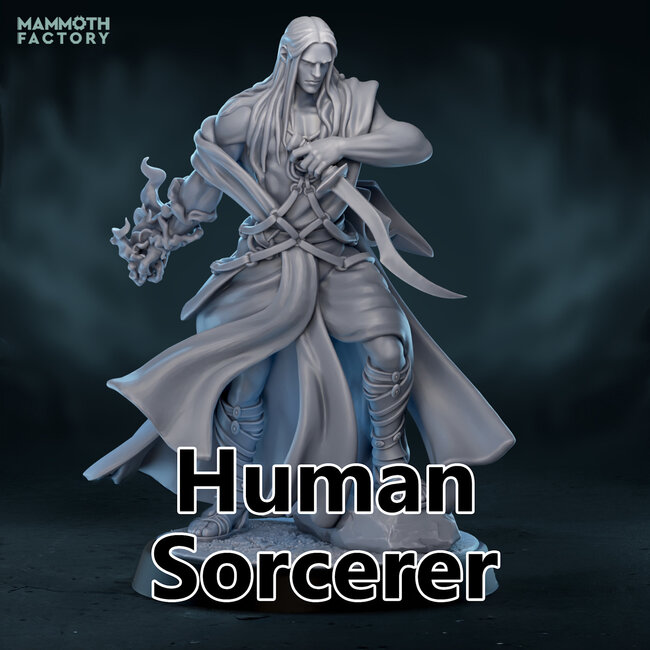 Male Human Sorcerer MF2