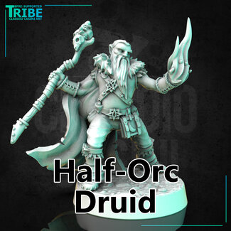 Claudio Casini Art Male Half-Orc Druid CC1