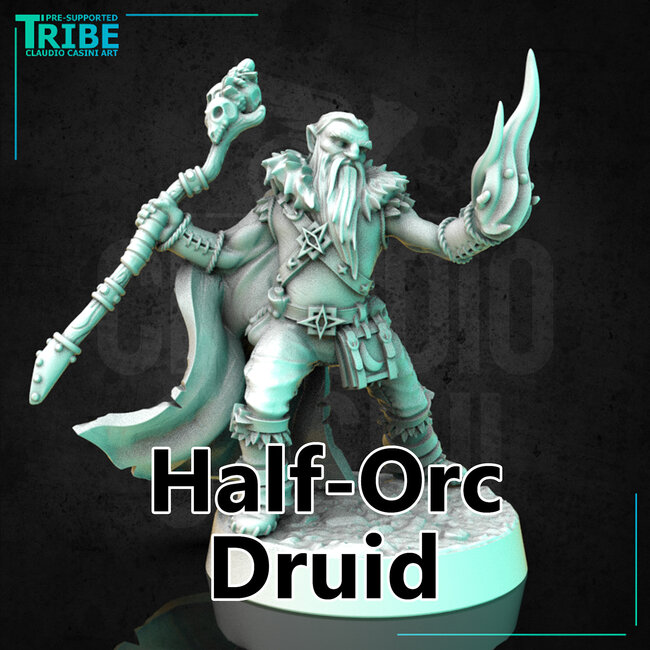 Male Half-Orc Druid CC1