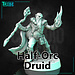Claudio Casini Art Male Half-Orc Druid CC1