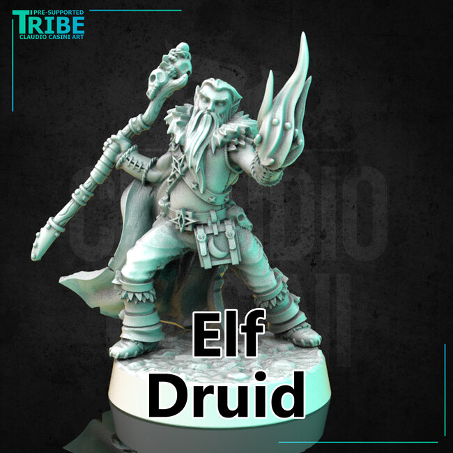 Male Elf Druid CC1