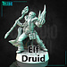 Claudio Casini Art Male Elf Druid CC1