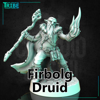 Claudio Casini Art Male Firbolg Druid CC1