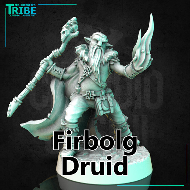 Male Firbolg Druid CC1