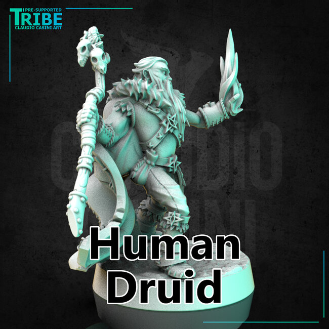 Male Human Druid CC1