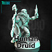 Claudio Casini Art Male Human Druid CC1