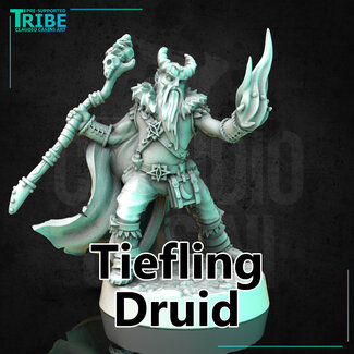 Claudio Casini Art Male Tiefling Druid CC1