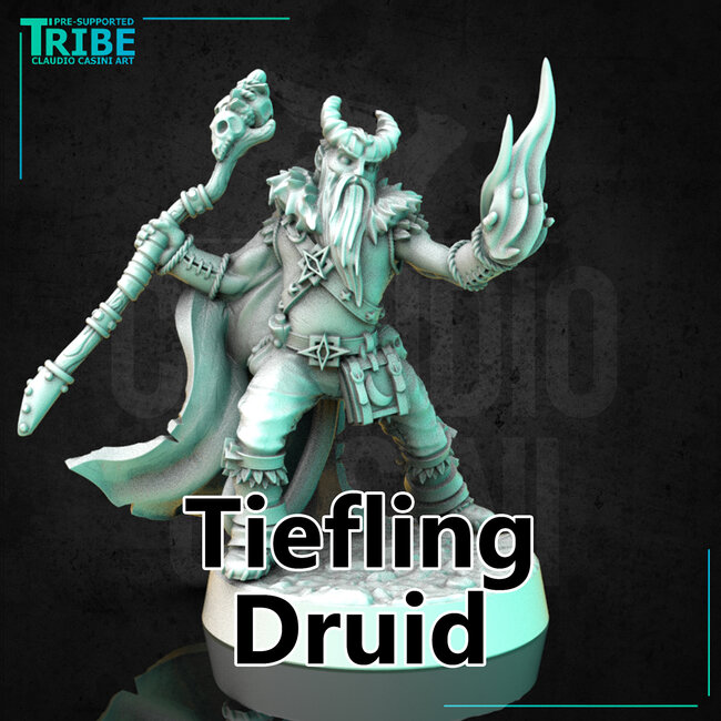 Male Tiefling Druid CC1