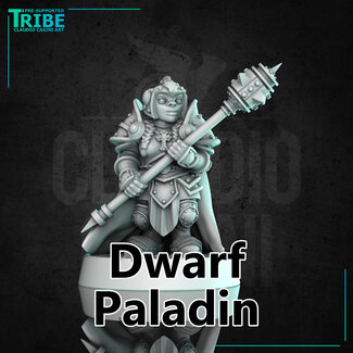 Claudio Casini Art Female Dwarf Paladin CC1