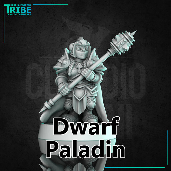 Female Dwarf Paladin CC1