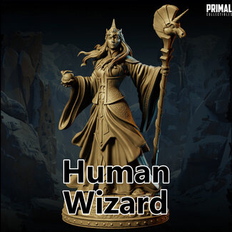 Primal Collectibles Female Human Wizard PC2