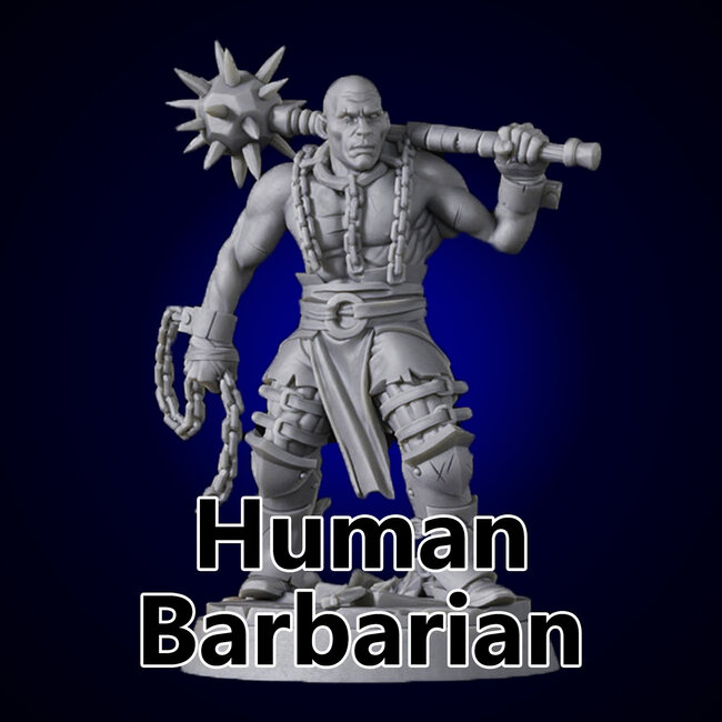 Male Human Barbarian TF1