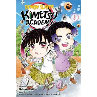 Demon Slayer: Kimetsu Academy, Vol. 3 By Koyoharu Gotouge