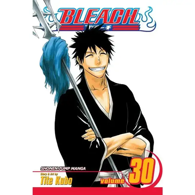 Bleach, Vol. 30 By Tite Kubo
