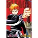 Bleach (3-in-1 Edition), Vol. 1 By Tite Kubo