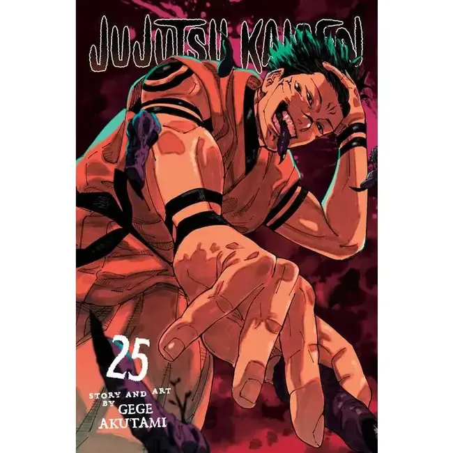 Jujutsu Kaisen, Vol. 25 By Gege Akutami