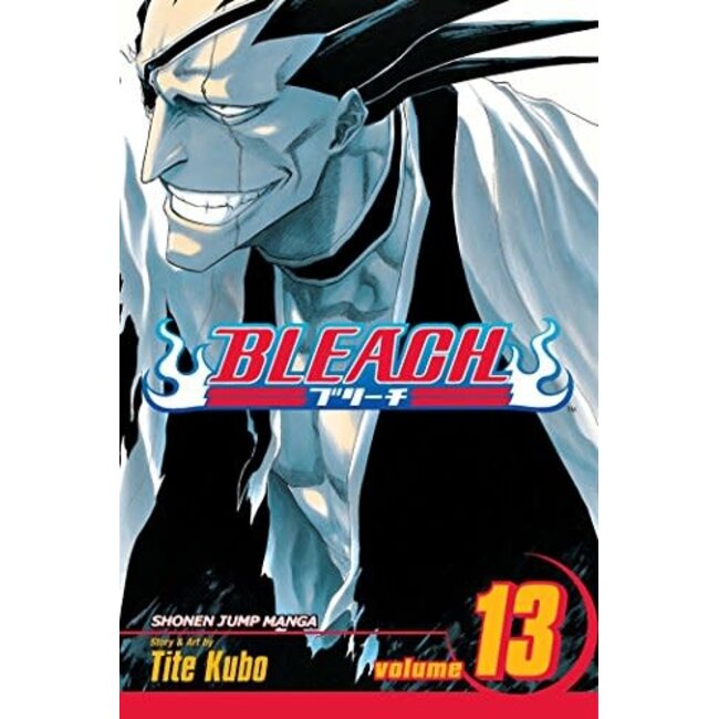 Bleach, Vol. 13 - Softcover